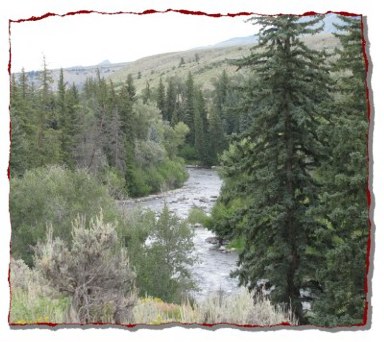 Blue River, Gold Medal Trout waters, about a mile from the Melody Lodge Cabins.